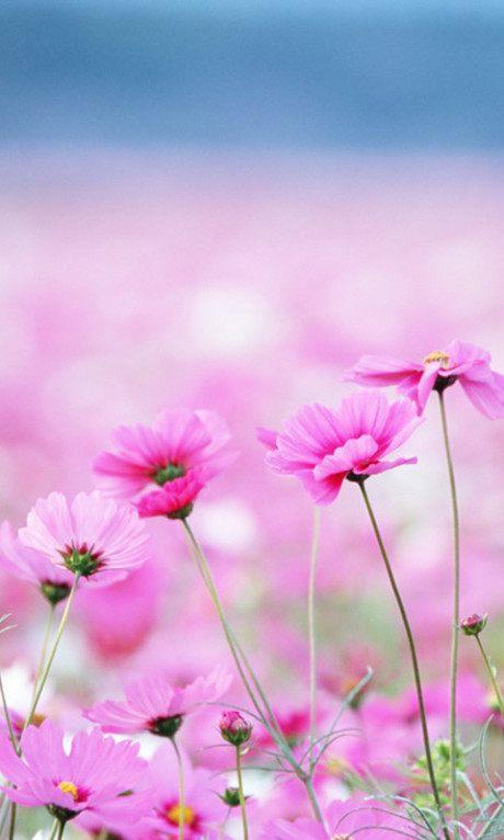 (yu)ЃȺĂԺ佛䣬^᣿